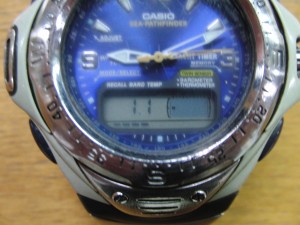 初氷　２０１２