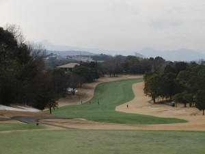 65kai wing (5)
