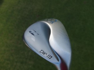 dolfhin wedge (9)