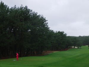 phoenix country (41)