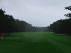 phoenix country (52)