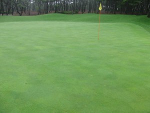 phoenix country (81)