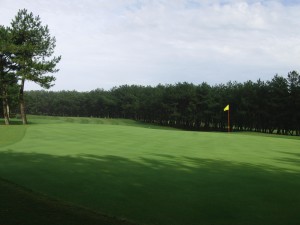 tom watson 3 (14)