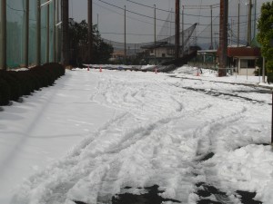 2014 2 18 (12)