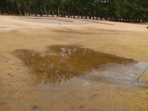 2014 2 28 lesson (6)