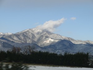 2014 2 5 (8)