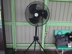 今日は暑かったですねぇ。