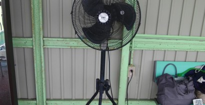 今日は暑かったですねぇ。