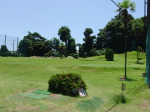 ２０１４　６　１５ (4)