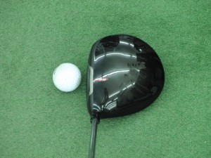 egg1 (2)