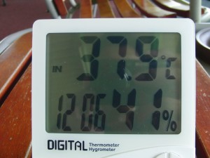 ２０１４　７　２５ (1)