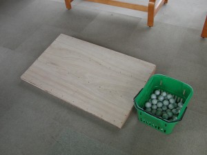 keisya boad (6)