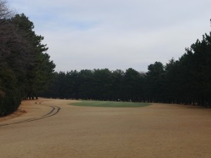 odakyuu fujisawa 2015 (2)