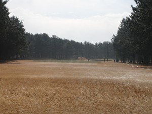 odakyuu fujisawa 2015 (4)