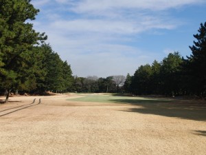 odakyuu fujisawa 2015 (6)