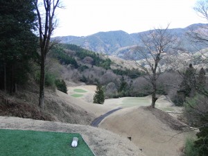 taiheiyou sagami (13)