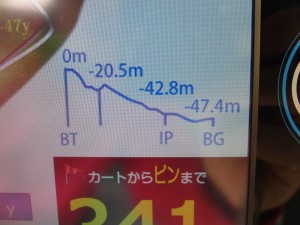 taiheiyou sagami (14)