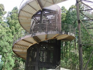 taiheiyou sagami (16)