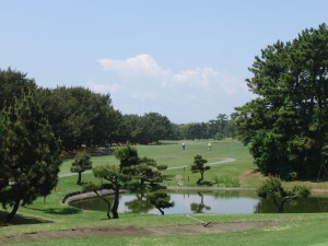 tigasaki golf (2)