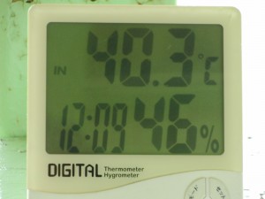 2015 7 28 (1)