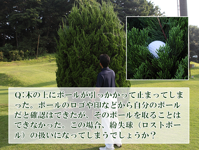 ゴルフクイズ
