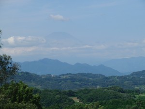 hiratukafujimi 2015 (4)