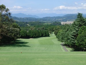 hiratukafujimi 2015 (5)