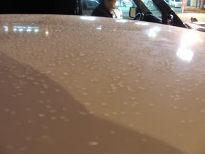 2016 1 25 (3)
