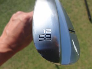 new wedge 2016 (32)