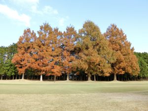 %e7%ac%ac82%e5%9b%9e%e3%80%80wing-%e7%ab%b6%e6%8a%80%e4%bc%9a-5