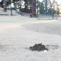 INGゴルフクイズ