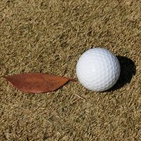 INGゴルフスクール今月のクイズ