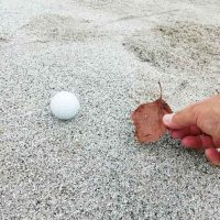INGゴルフスクール今月のクイズ