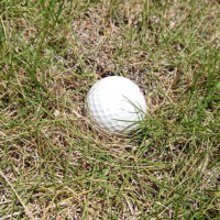 今月のゴルフクイズ 「面にくい込んだボール」