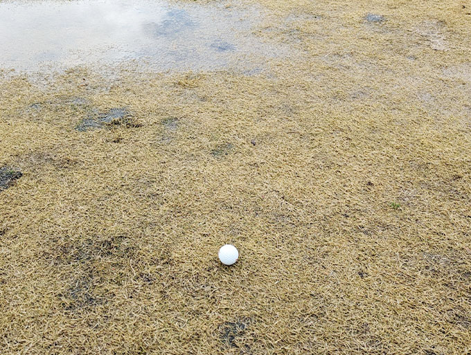 ゴルフお役立ち情報「湿ったライからのアプローチ」