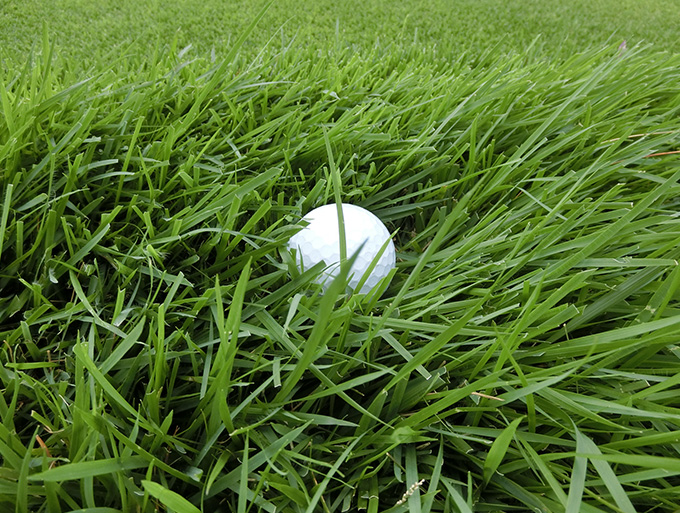 ゴルフお役立ち情報「ボールは沈んでいるか？浮いているか？」