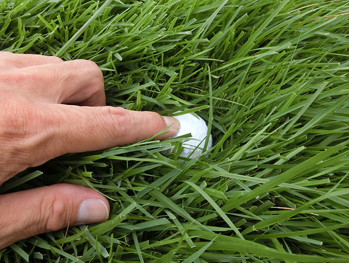 ゴルフお役立ち情報「ボールは沈んでいるか？浮いているか？」