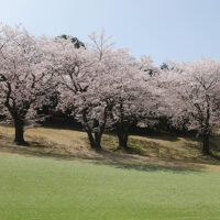 INGゴルフスクール今月のご挨拶