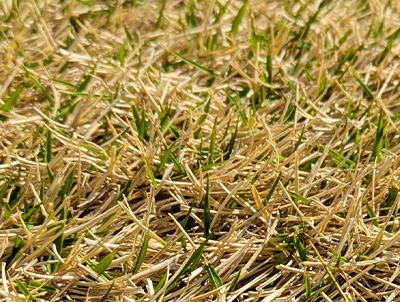 INGゴルフスクール今月のご挨拶